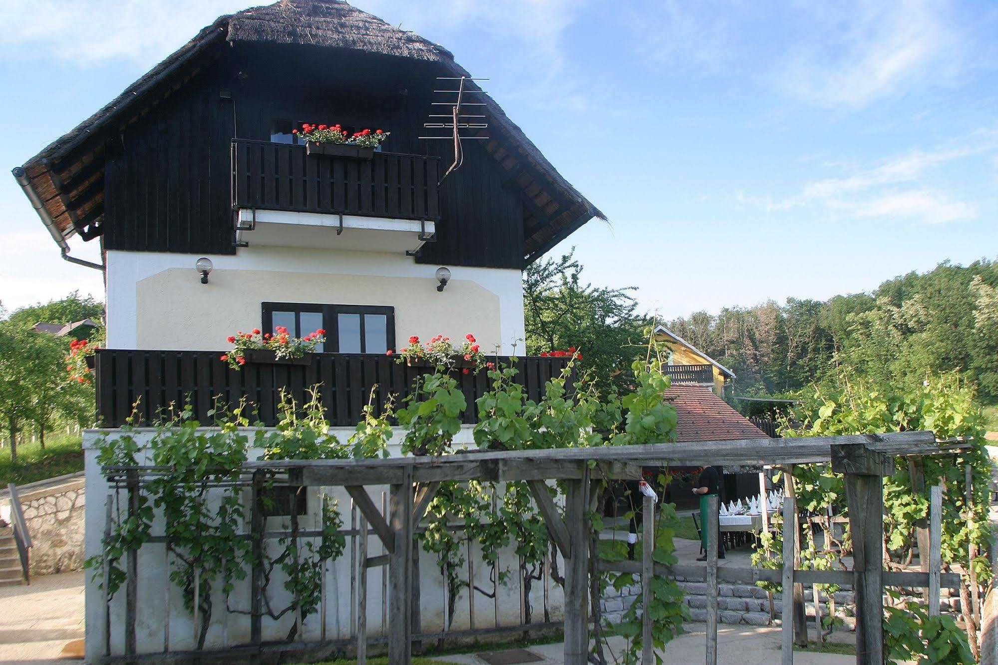 Hotel Krka - Terme Krka Novo Mesto Exterior foto